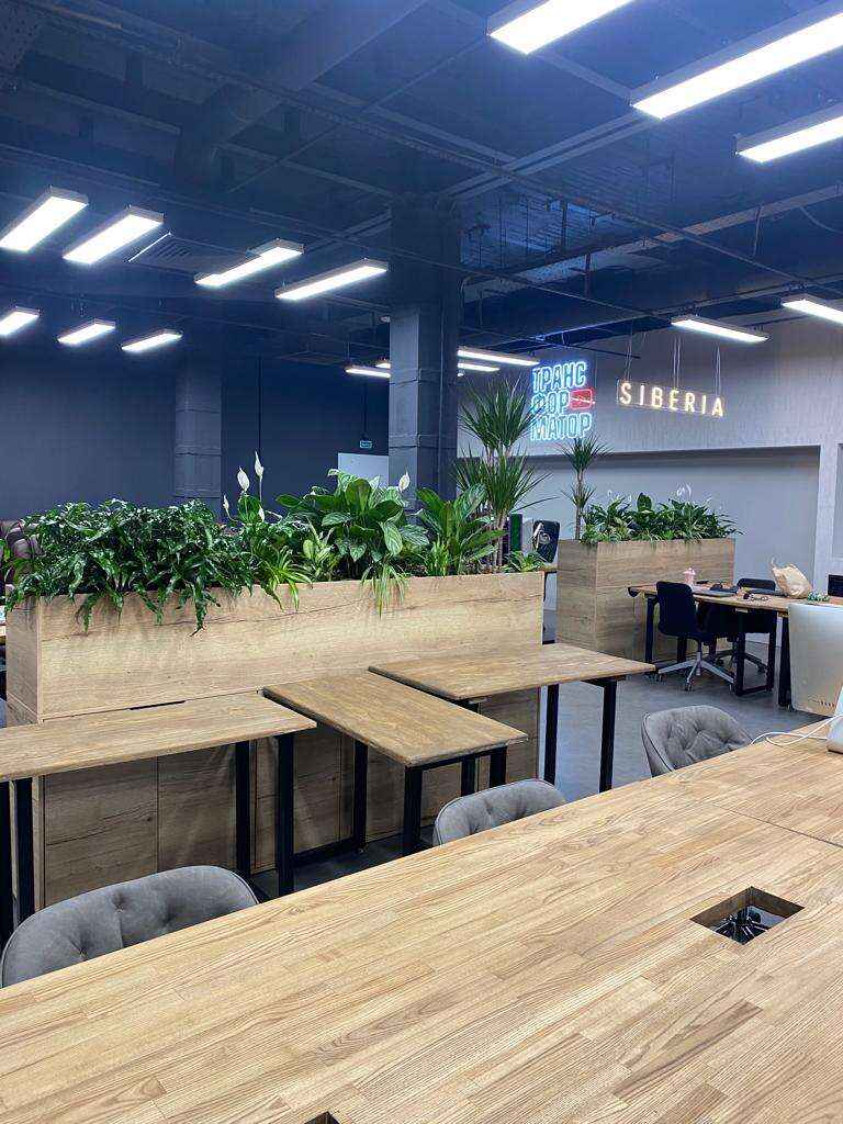 Зеленые перегородки офис клуб Зеленые перегородки офис клуб